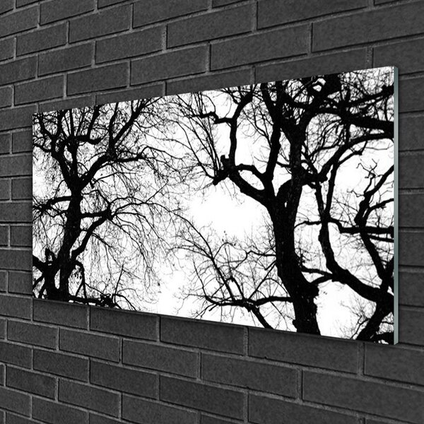 Quadro in vetro Natura Alberi in bianco e nero 100x50 cm 2 appendini