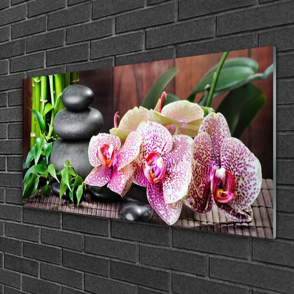 Quadro su vetro Spa Bamboo Orchid 100x50 cm 2 appendini
