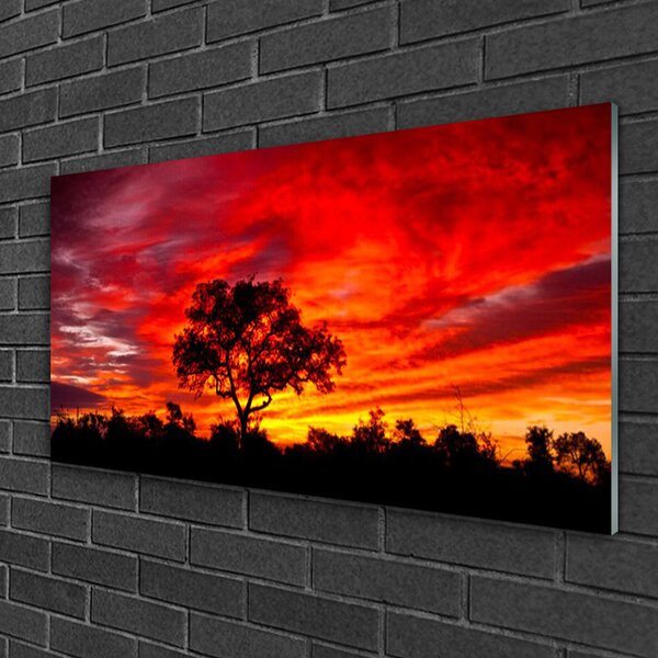 Quadro su vetro Foresta Paesaggio Natura 100x50 cm 2 appendini