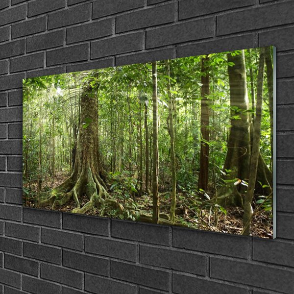 Quadro su vetro Foresta Natura Giungla Alberi 100x50 cm 2 appendini