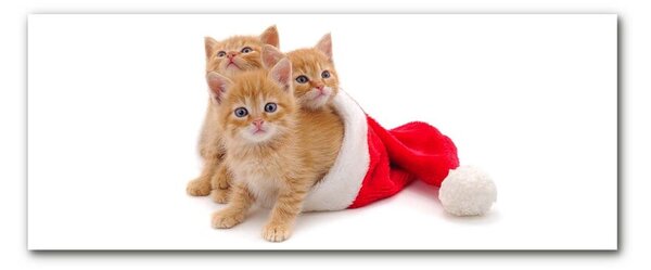 Quadro su vetro Gatti Babbo Natale 100x50 cm 2 appendini