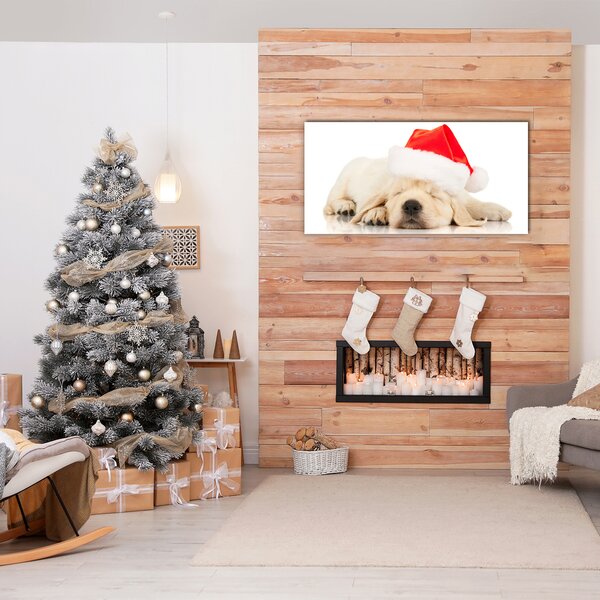 Quadro in vetro Cucciolo di cappello invernale di Babbo Natale 100x50 cm 2 appendini
