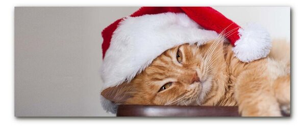Quadro vetro Cappello di Babbo Natale gatto 100x50 cm 2 appendini