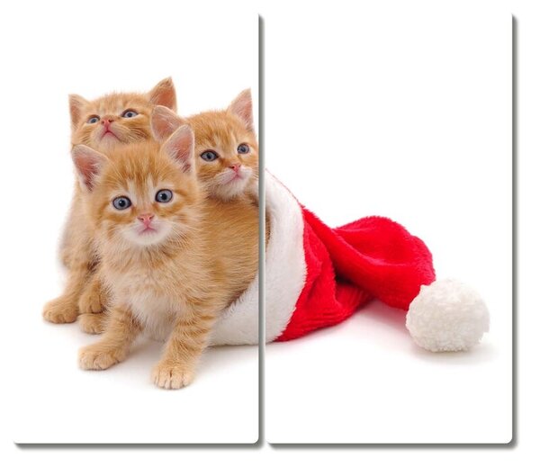 Tagliere in vetro Gatti Babbo Natale 60x52 cm