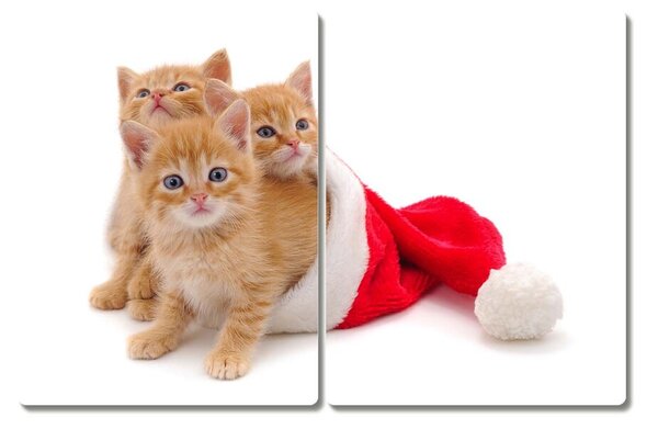 Tagliere in vetro Gatti Babbo Natale 60x52 cm