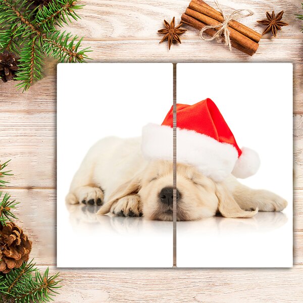 Tagliere in vetro Cucciolo di cappello invernale di Babbo Natale 60x52 cm