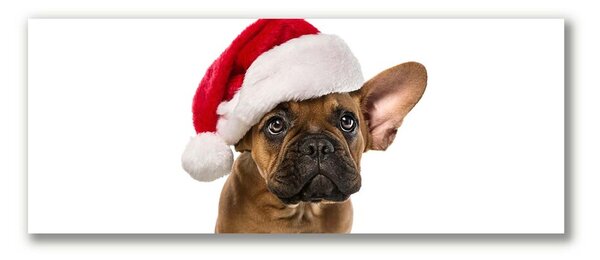 Quadro su tela Bulldog cane di Natale 100x50 cm