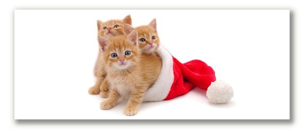 Quadro su tela Gatti Babbo Natale 100x50 cm