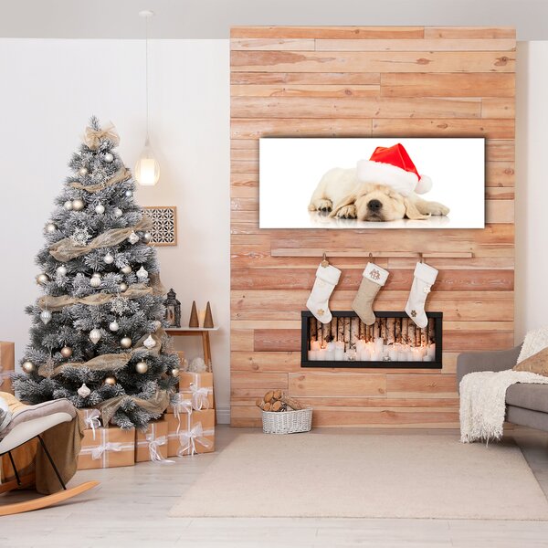 Quadro su tela Cucciolo di cappello invernale di Babbo Natale 100x50 cm