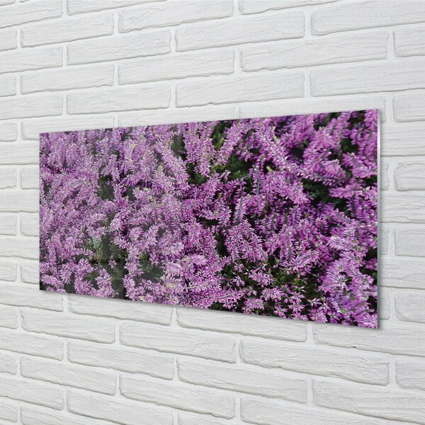 Quadro su vetro Fiori viola 100x50 cm 2 appendini