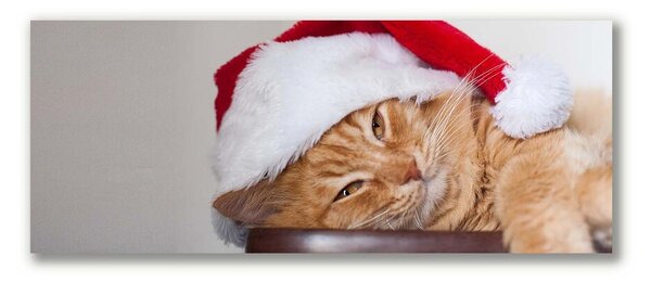 Quadro stampa su tela Cappello di Babbo Natale gatto 100x50 cm