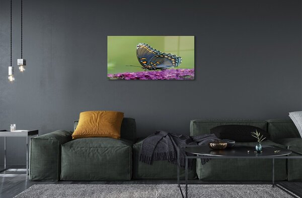 Quadro vetro Farfalla colorata sui fiori 100x50 cm 2 appendini