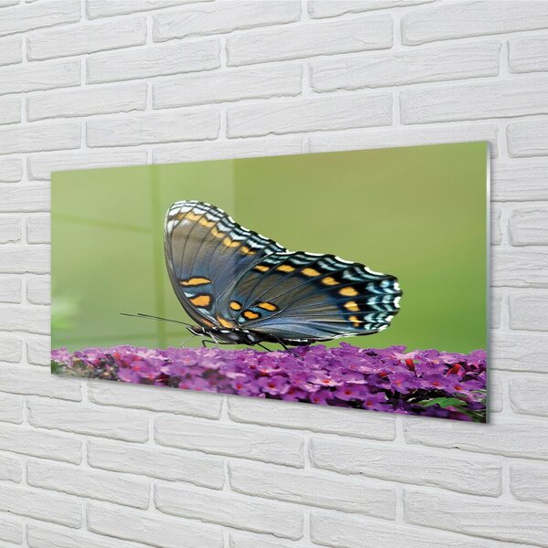 Quadro vetro Farfalla colorata sui fiori 100x50 cm 2 appendini