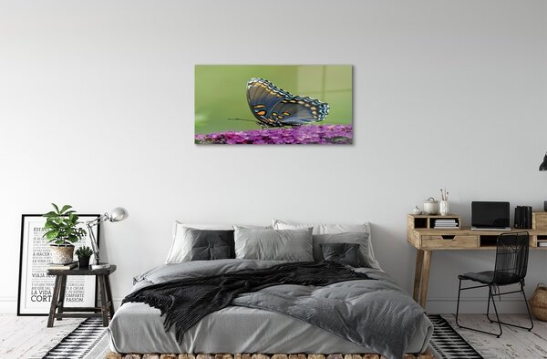 Quadro vetro Farfalla colorata sui fiori 100x50 cm 2 appendini