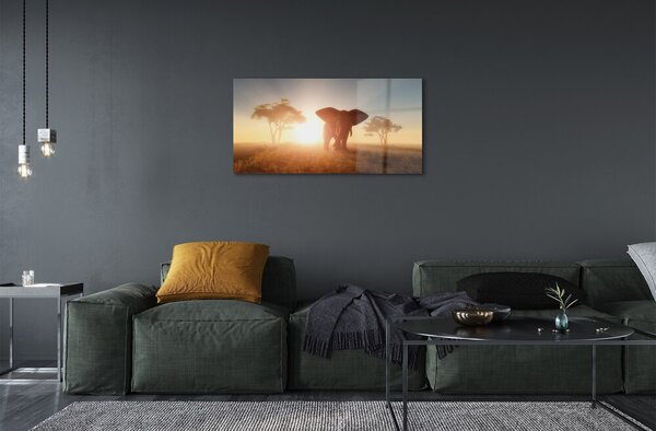Quadro in vetro Elefante est 100x50 cm 2 appendini