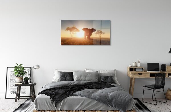 Quadro in vetro Elefante est 100x50 cm 2 appendini