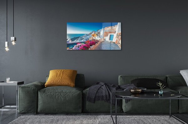Quadro su vetro Grecia edifici fiori di mare 100x50 cm 2 appendini