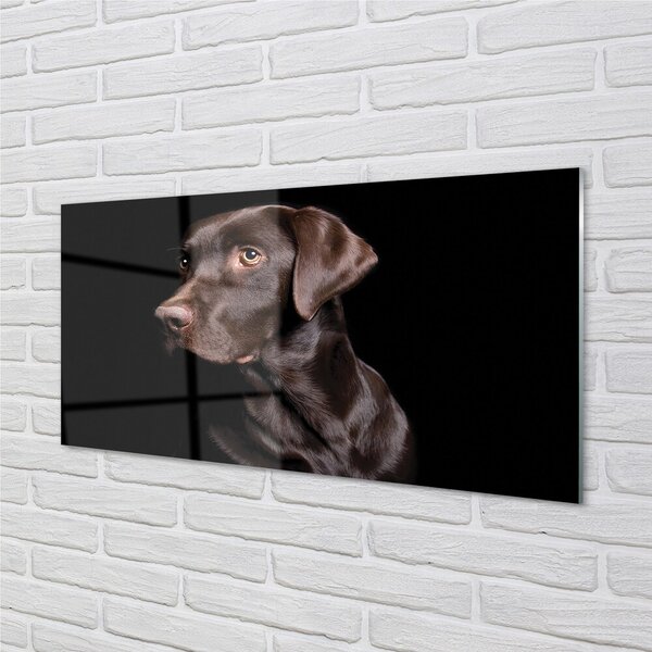 Quadro in vetro Cane marrone 100x50 cm 2 appendini