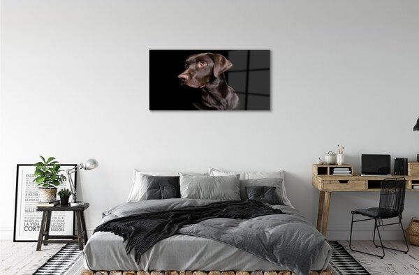 Quadro in vetro Cane marrone 100x50 cm 2 appendini