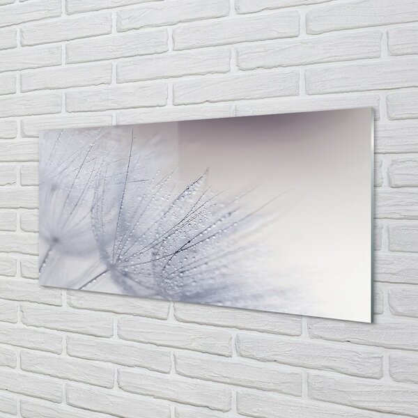 Quadro vetro Gocce di rugiada 100x50 cm 2 appendini