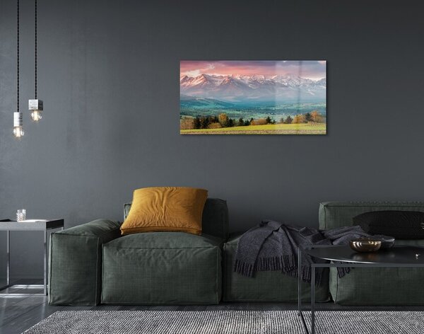 Quadro di vetro Montagne di campo 100x50 cm 2 appendini