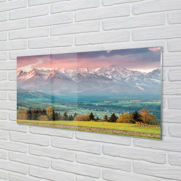 Quadro di vetro Montagne di campo 100x50 cm 2 appendini