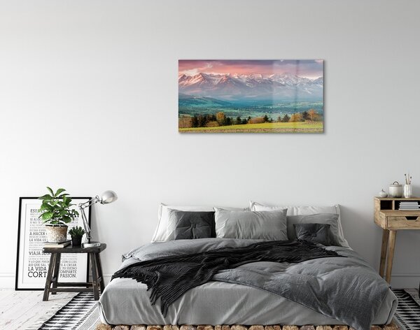 Quadro di vetro Montagne di campo 100x50 cm 2 appendini
