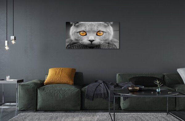Quadro vetro Gatto inglese grigio 100x50 cm 2 appendini