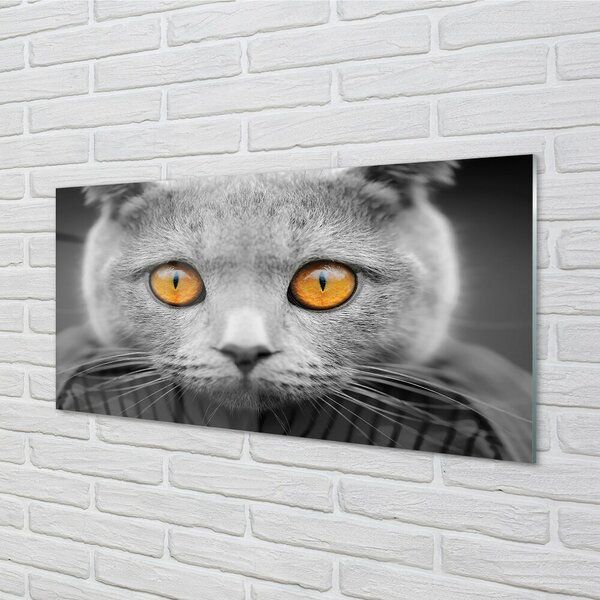 Quadro vetro Gatto inglese grigio 100x50 cm 2 appendini