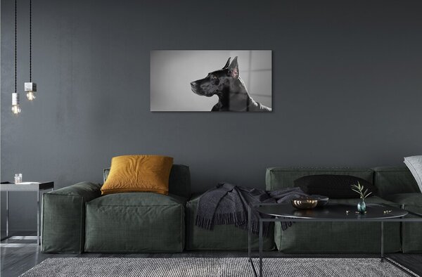 Quadro di vetro Cane nero 100x50 cm 2 appendini