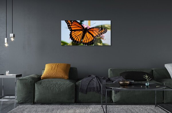 Quadro in vetro Farfalla colorata 100x50 cm 2 appendini