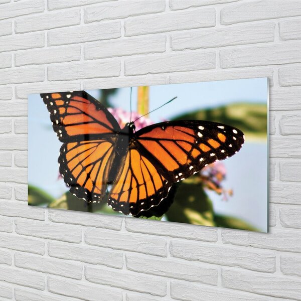 Quadro in vetro Farfalla colorata 100x50 cm 2 appendini