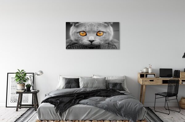 Quadro vetro Gatto inglese grigio 100x50 cm 2 appendini