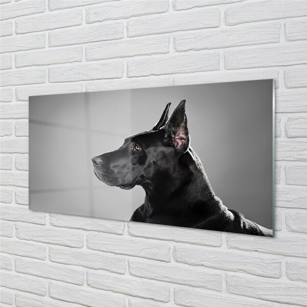 Quadro di vetro Cane nero 100x50 cm 2 appendini