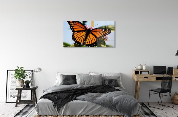 Quadro in vetro Farfalla colorata 100x50 cm 2 appendini