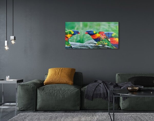 Quadro in vetro Albero dei pappagalli colorato 100x50 cm 2 appendini