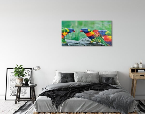 Quadro in vetro Albero dei pappagalli colorato 100x50 cm 2 appendini