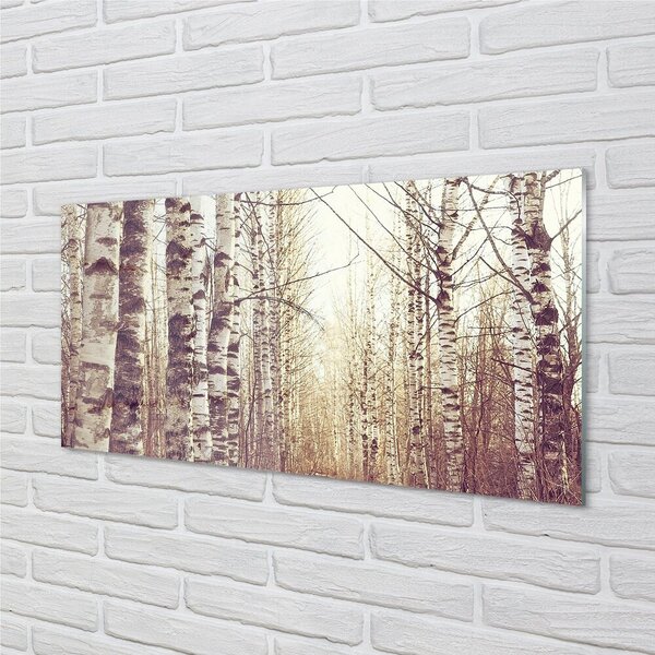 Quadro in vetro Alberi 100x50 cm 2 appendini