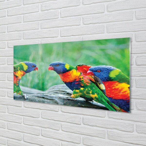 Quadro in vetro Albero dei pappagalli colorato 100x50 cm 2 appendini