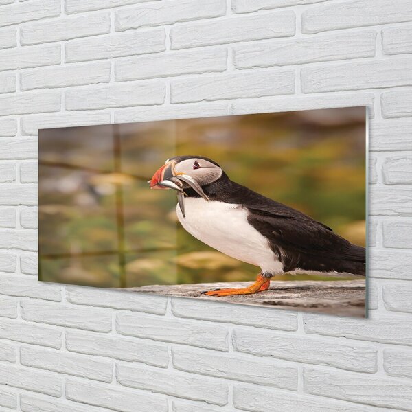 Quadro vetro Pappagallo 100x50 cm 2 appendini