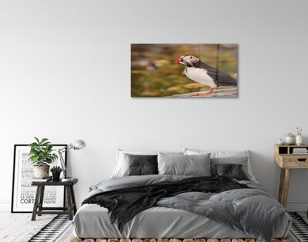 Quadro vetro Pappagallo 100x50 cm 2 appendini