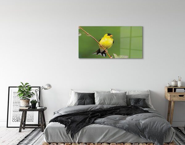 Quadro in vetro Pappagallo giallo 100x50 cm 2 appendini