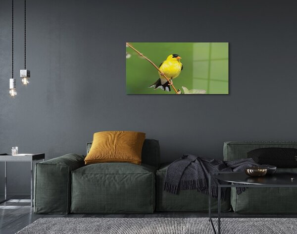 Quadro in vetro Pappagallo giallo 100x50 cm 2 appendini