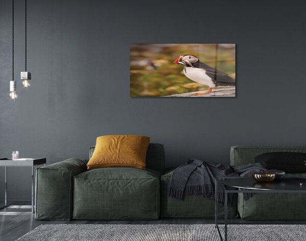 Quadro vetro Pappagallo 100x50 cm 2 appendini