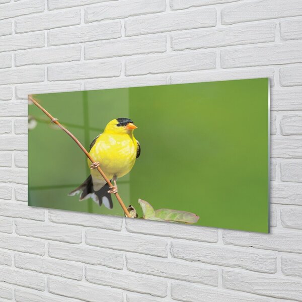 Quadro in vetro Pappagallo giallo 100x50 cm 2 appendini
