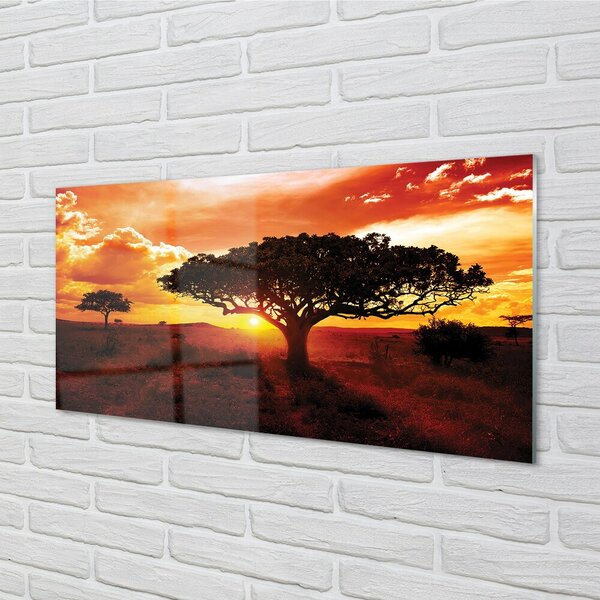 Quadro vetro Alberi di nuvole a ovest 100x50 cm 2 appendini
