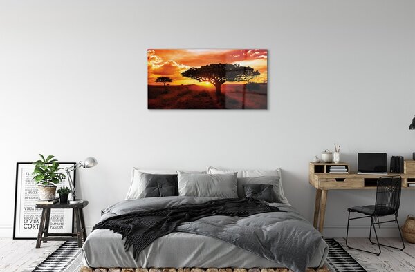 Quadro vetro Alberi di nuvole a ovest 100x50 cm 2 appendini