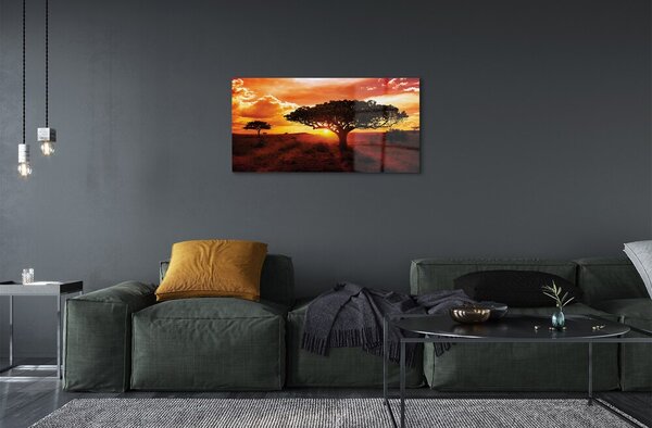 Quadro vetro Alberi di nuvole a ovest 100x50 cm 2 appendini