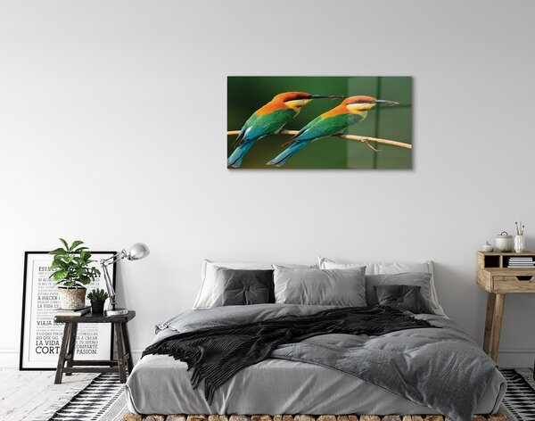 Quadro in vetro Pappagalli colorati su un ramo 100x50 cm 2 appendini