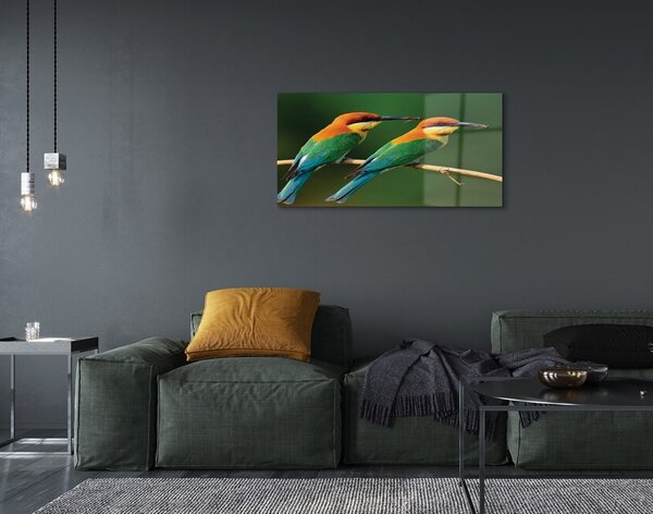 Quadro in vetro Pappagalli colorati su un ramo 100x50 cm 2 appendini